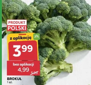 Brokuł