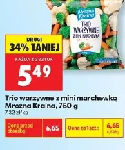 Trio warzywne z mini marchewką Mroźna Kraina