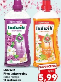 Ludwik Płyn uniwersalny