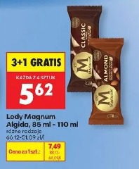 Lody Magnum Algida