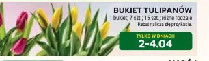 Bukiet tulipanów