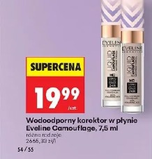 Wodoodporny korektor w płynie Eveline Camouflage