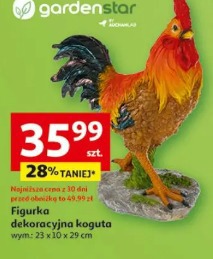 Gardenstar Figurka dekoracyjna koguta