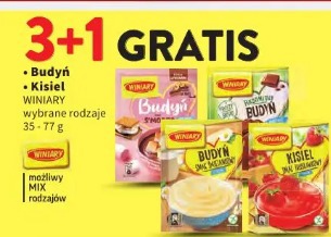 Budyń Kisiel Winiary