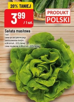 Sałata masłowa