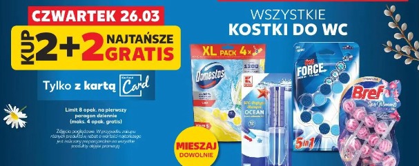 Wszystkie kostki do WC