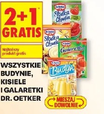 Wszystkie budynie, kisiele i galaretki Dr. Oetker