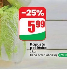 Kapusta pekińska