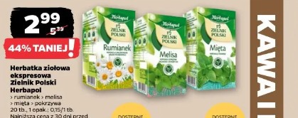 Herbatka ziołowa ekspresowa Zielnik Polski Herbapol