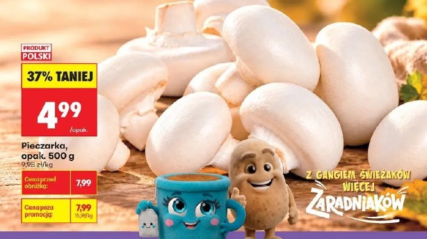 Pieczarka
