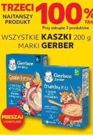 Wszystkie kaszki 200 g marki Gerber
