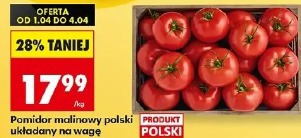 Pomidor malinowy polski układany