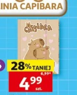 Teczka A4 Capibara