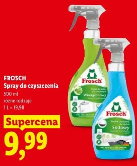 Frosch Spray do czyszczenia