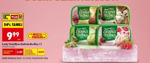 Lody familijne Zielona Budka, 1 l różne rodzaje