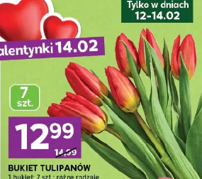 Bukiet tulipanów