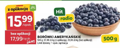 Borówki amerykańskie