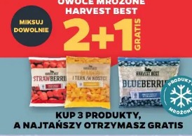 Owoce mrożone Harvest Best