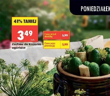 Zestaw do kiszenia ogórków