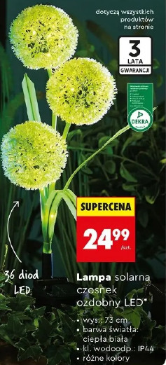 Zestaw 2 lamp solarnych pochodnie LED Gardenic