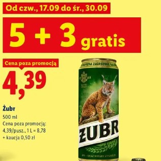 Żubr