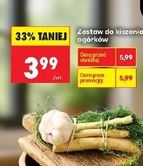 Zestaw do kiszenia ogórków