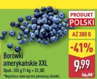 Borówki amerykańskie XXL