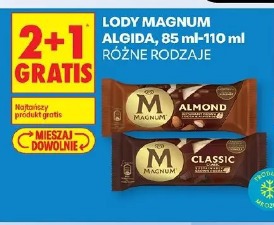 Lody Magnum Algida