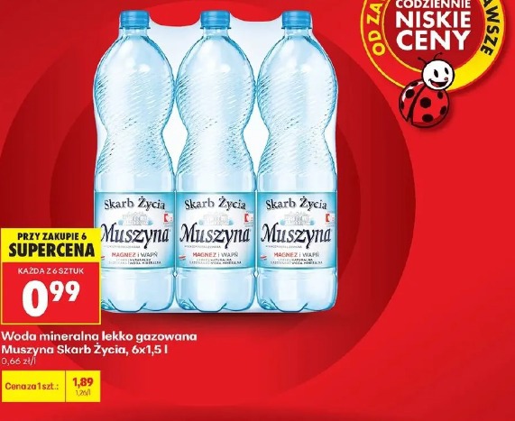 Woda mineralna lekko gazowana Muszyna Skarb Życia