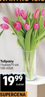 Tulipany
