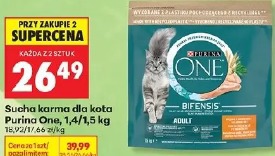 Purina One sucha karma dla kota