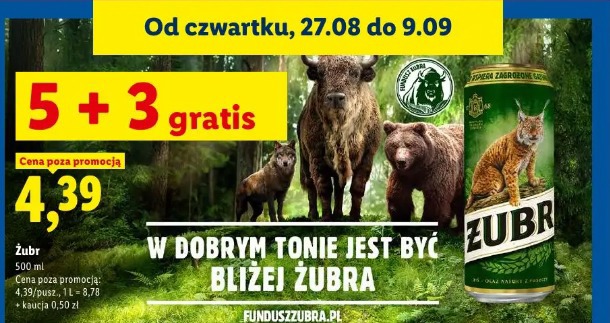 Żubr piwo