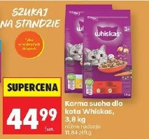 Whiskas karma sucha dla kota