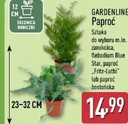Gardenline Paproć