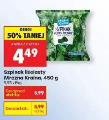 Szpinak liściasty Mroźna Kraina