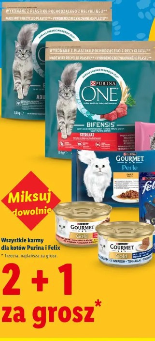 Wszystkie karmy dla kotów Purina i Felix