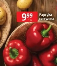 Papryka czerwona