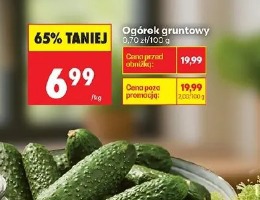 Ogórek gruntowy