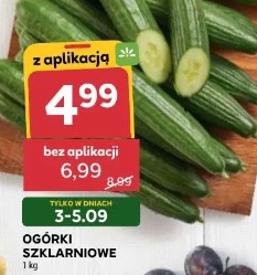 Ogórki szklarniowe