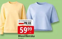 Bluza damska Justini