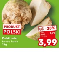 Polski seler korzeń