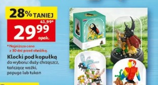 Klocki pod kopułką do wyboru: duży chrząszcz, tańczące ważki, papuga lub tukan