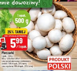 Pieczarki