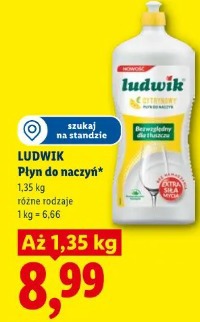 Ludwik Płyn do naczyń