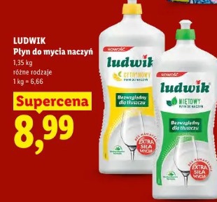 Ludwik Płyn do mycia naczyń