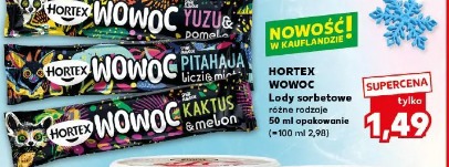 Hortex Wowoc Lody sorbetowe różne rodzaje
