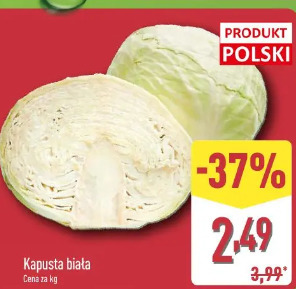 Kapusta biała