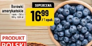 Borówki amerykańskie