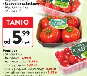 Pomidor z sadów i pól