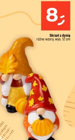 Skrzat z dynią